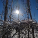 تصاویری زیبا از برف پاییزی در آذربایجان غربی